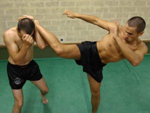 Martial Arts Books - Picture of two martial artists sparring in a gym