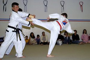 Martial arts side kick