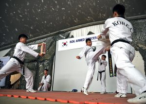 Taekwondo Breaking Techniques