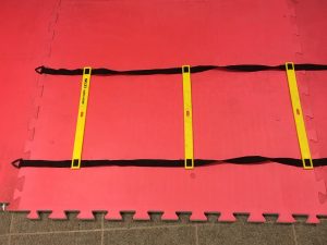 Martial Arts Agility Ladder