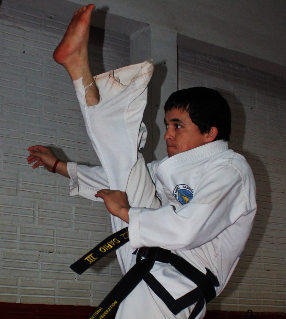 ITF Taekwondo Pattern 1 (Chon-Ji) with Instructions & Videos - Black ...