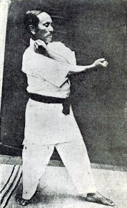 Kata Forms - Picture of martial artist practicing kata