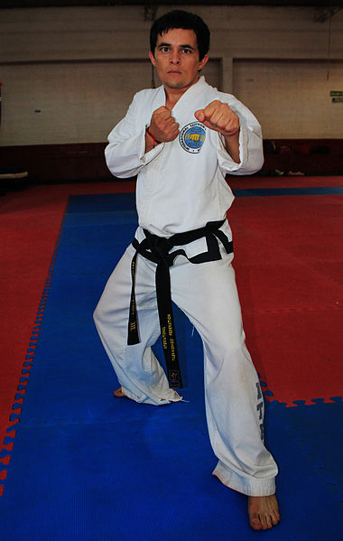 ITF Taekwondo Patterns (with Video & Written - Belt Wiki
