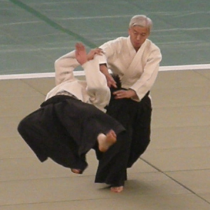 https://blackbeltwiki.com/wp-content/uploads/2019/05/wiki-aikido-3-300x300.png