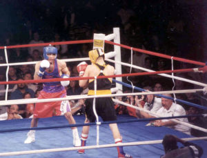 Picture of two boxers sparring